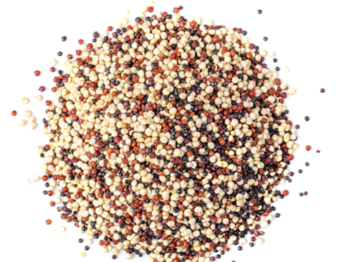 Organic Tricolor Royal Quinoa